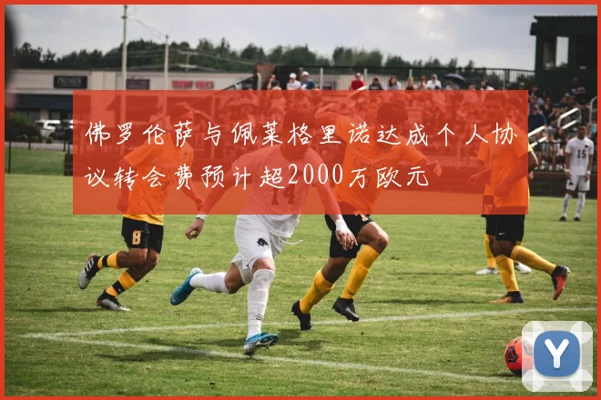 佛罗伦萨与佩莱格里诺达成个人协议转会费预计超2000万欧元
